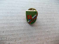 Football badge Slovakia federation football badge