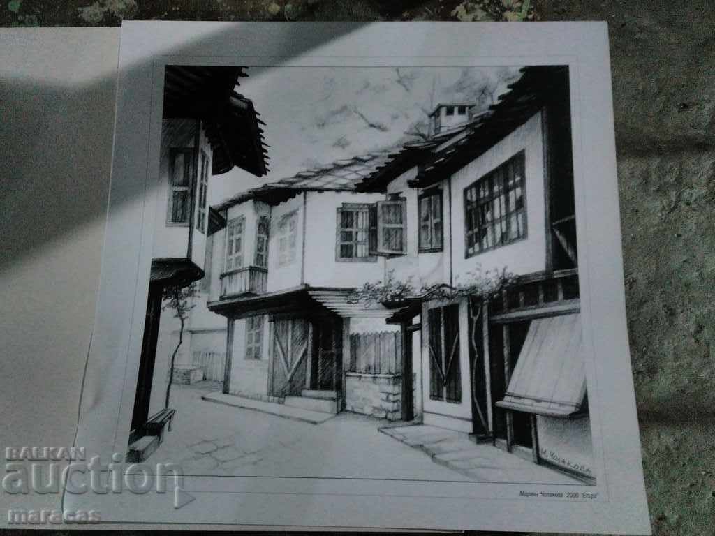 Delivery of Views from AIR AIR "Eter" near the town of Gabrovo