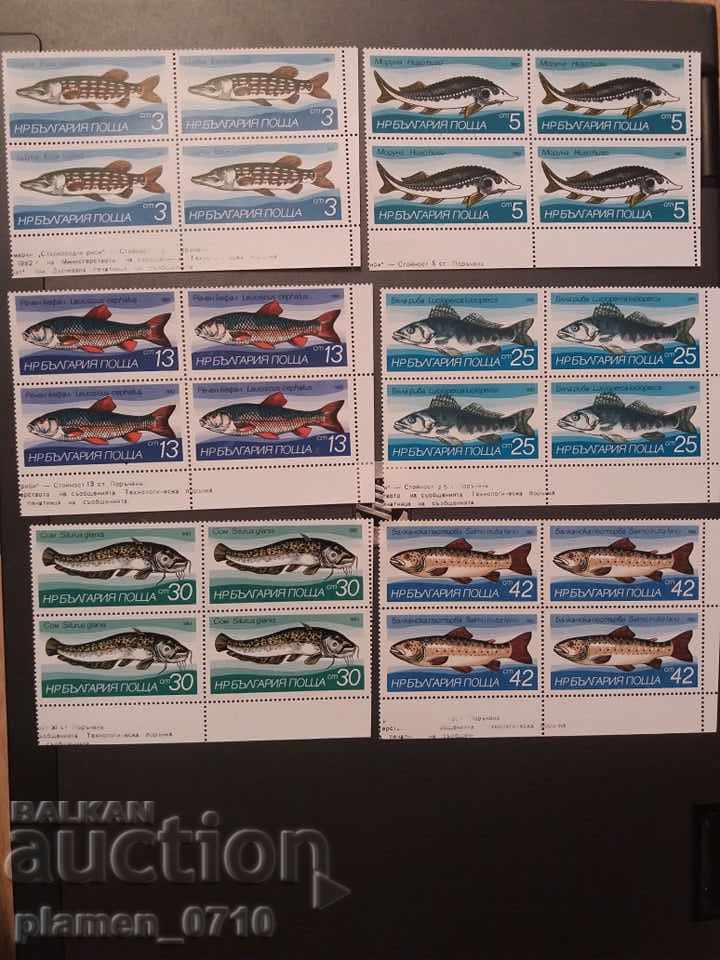 3203 - 3207 Freshwater fish. - KARE