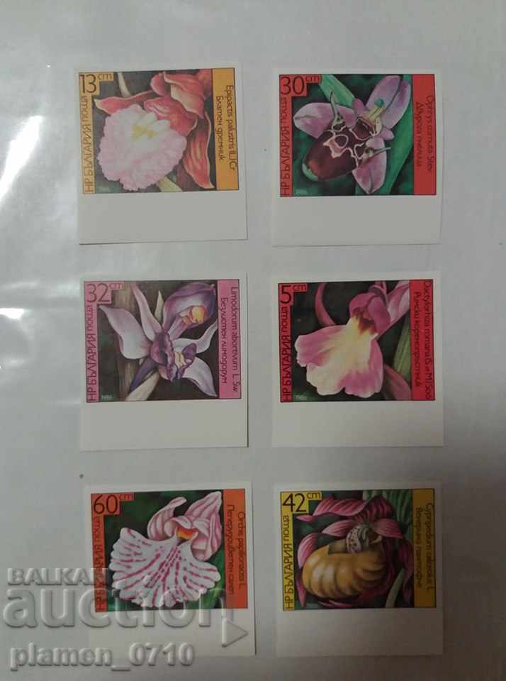 3482 - 3487 Orchids - series NOTTENTED
