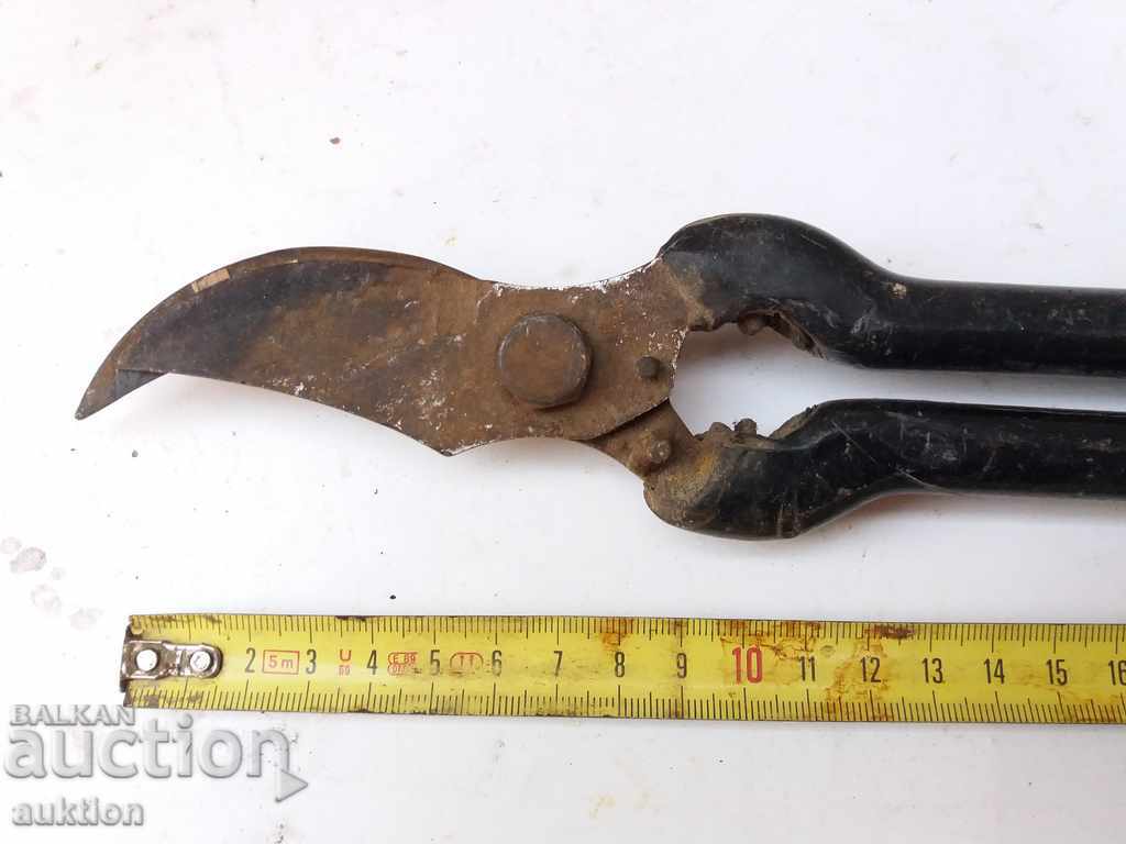 VEGETABLE, VINEYARD SCISSORS with price 3.79 BGN | € 1.94 VEGETABLE, VINEYARD SCISSORS with price 3.79 BGN | € 1.94