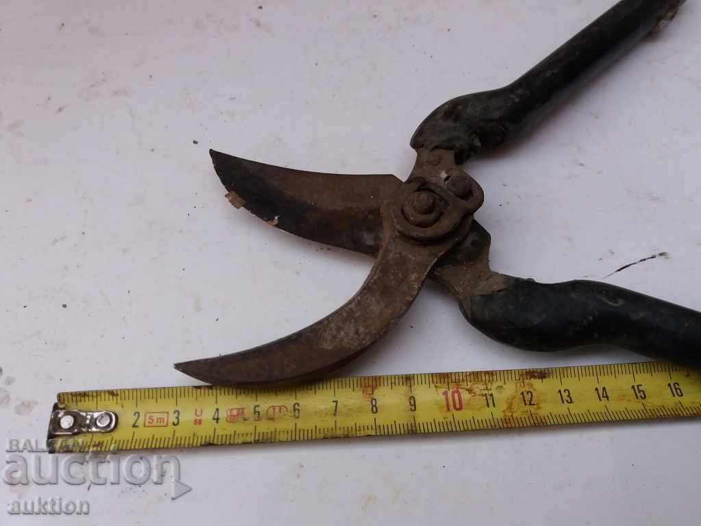 VEGETABLE, VINEYARD SCISSORS - 5 VEGETABLE, VINEYARD SCISSORS - 5