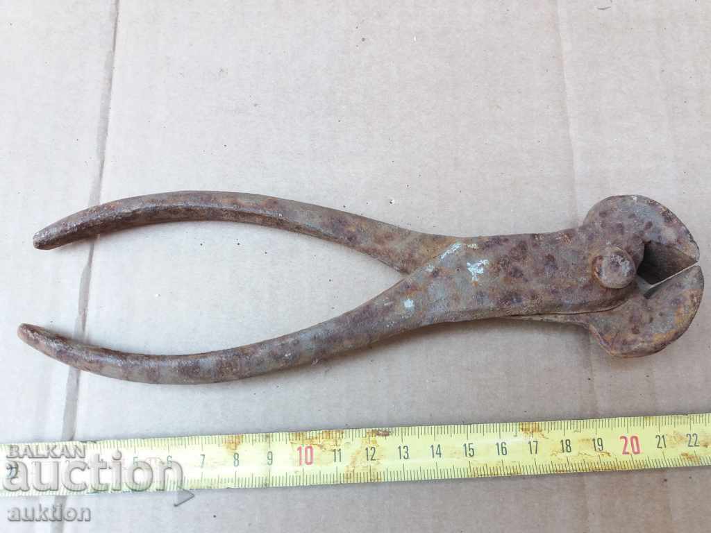 Auction OLD MASSIVE BIG CARPEDEN, EXCELLENT Auction OLD MASSIVE BIG CARPEDEN, EXCELLENT