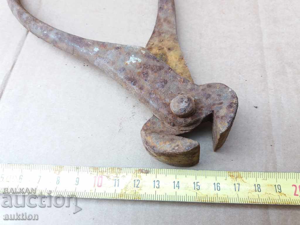 Delivery of OLD MASSIVE BIG CARPEDEN, EXCELLENT Delivery of OLD MASSIVE BIG CARPEDEN, EXCELLENT