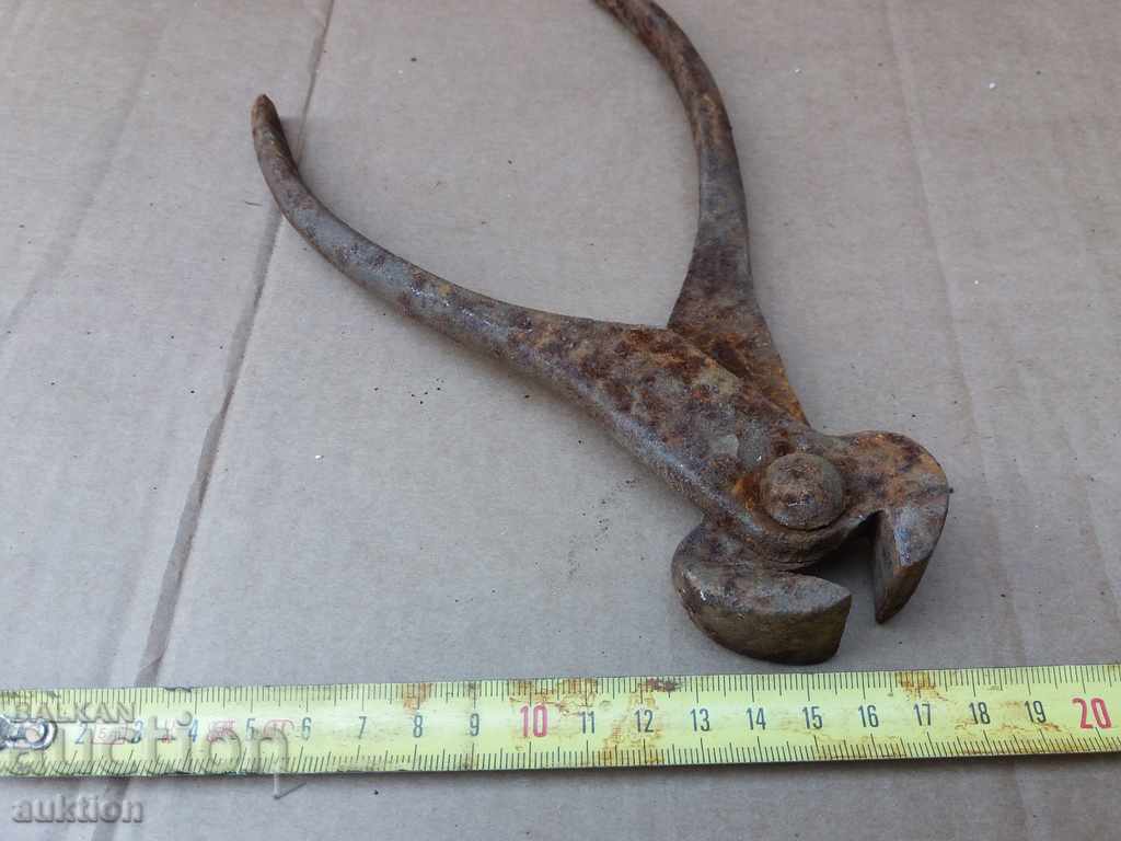 OLD MASSIVE BIG CARPEDEN, EXCELLENT - 5 OLD MASSIVE BIG CARPEDEN, EXCELLENT - 5