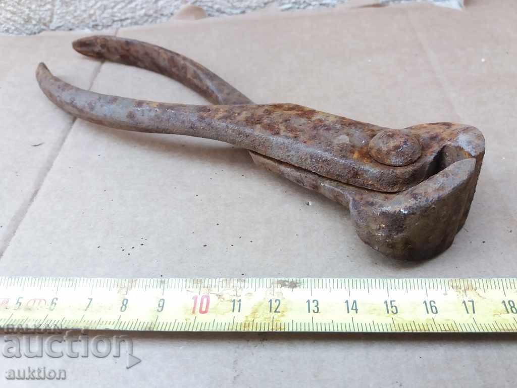 OLD MASSIVE BIG CARPEDEN, EXCELLENT - 7 OLD MASSIVE BIG CARPEDEN, EXCELLENT - 7