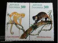 Indonesia - fauna, couscous