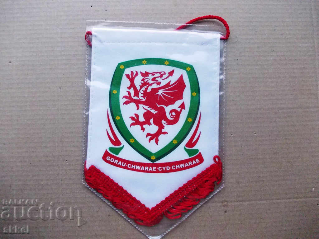 Wales flag football federation football flag