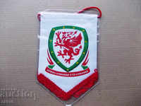 Ουαλία σημαία ποδοσφαίρου ομοσπονδίας ποδοσφαίρου σημαία