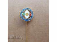 Soccer badge Italy needle federation soccer badge