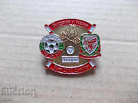 Football badge Bulgaria - Wales 2011 football badge