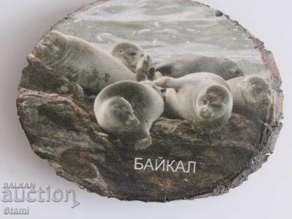 Un magnet autentic din Lacul Baikal, Seria-49 din Rusia cu preț 9.50 BGN | € 4.86 Un magnet autentic din Lacul Baikal, Seria-49 din Rusia cu preț 9.50 BGN | € 4.86