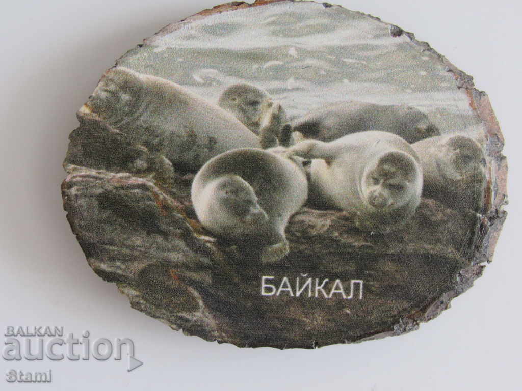 Автентичен магнит от езерото Байкал, Русия-серия-49