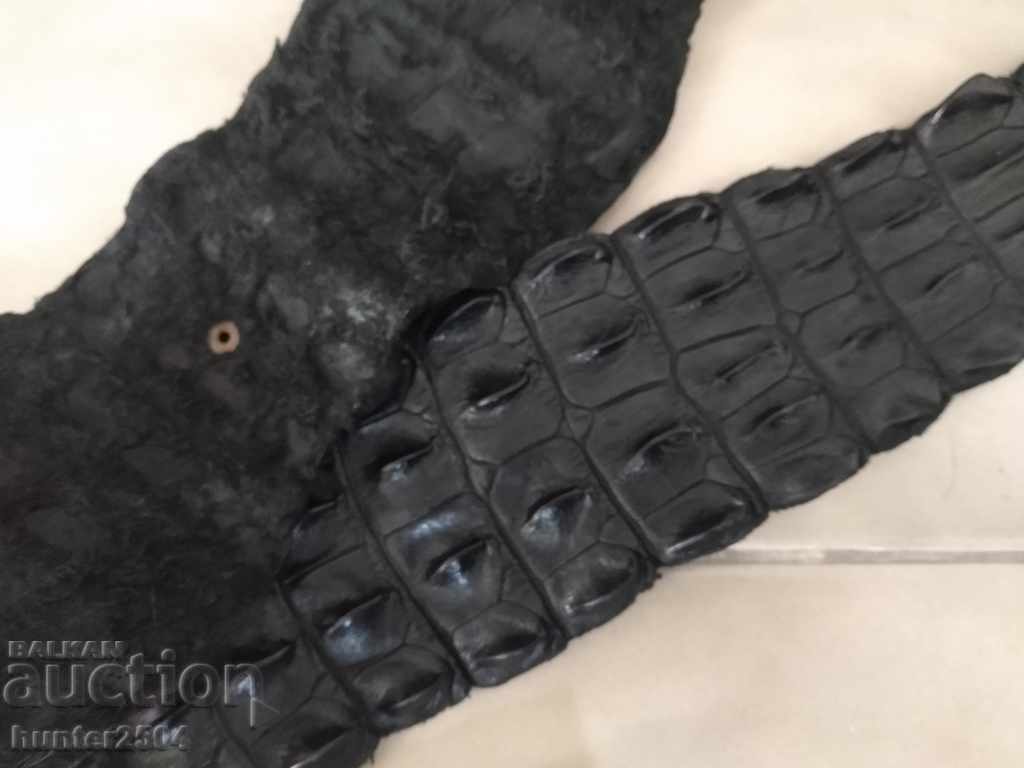 Crocodile belt. 110 cm. W. 9 cm. with price € 9.95 | 19.46 BGN