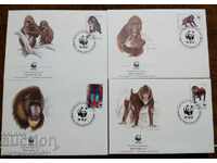 Guinea - WWF, protected fauna - mandrill