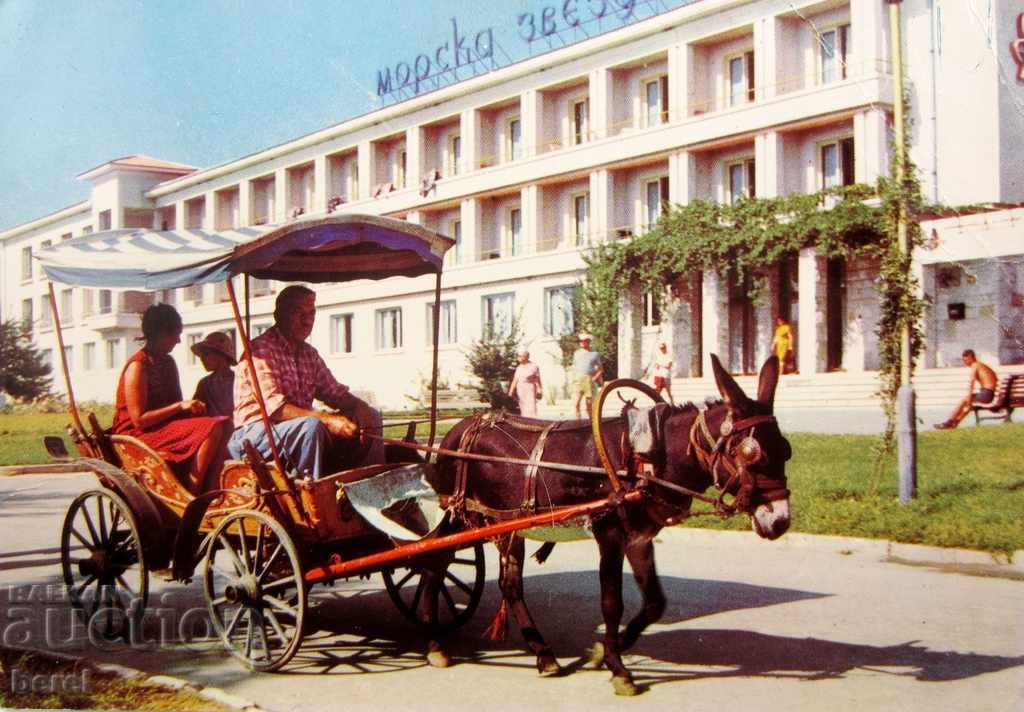 OLD POSTAL CARD-VARNA-GOLDEN SANDS-STAR STAR with price 2.00 BGN | € 1.02 OLD POSTAL CARD-VARNA-GOLDEN SANDS-STAR STAR with price 2.00 BGN | € 1.02