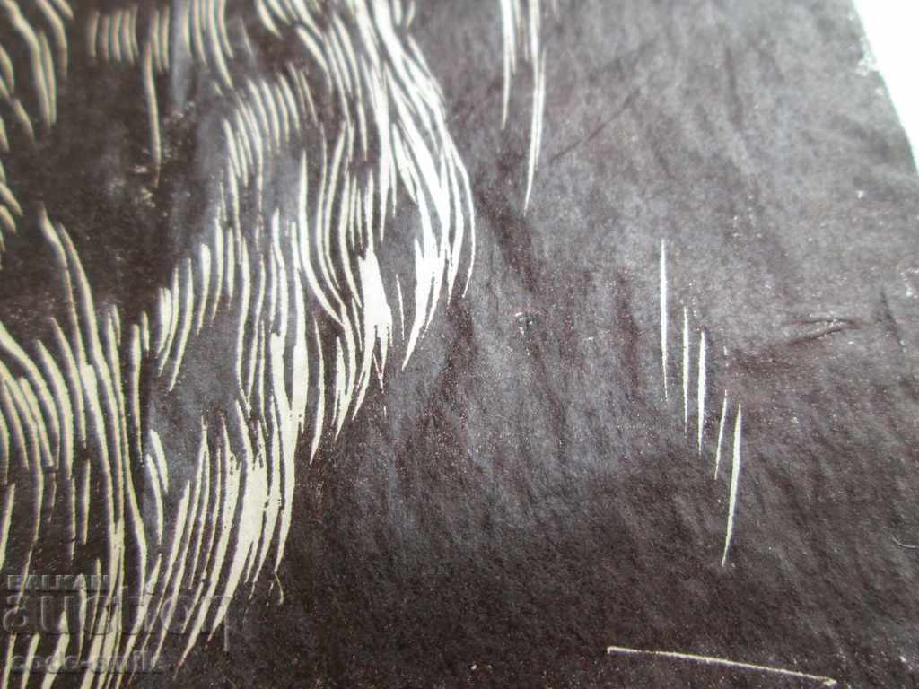 Old picture Portrait of a drawing Dobri Dobrev signed - 5 Old picture Portrait of a drawing Dobri Dobrev signed - 5