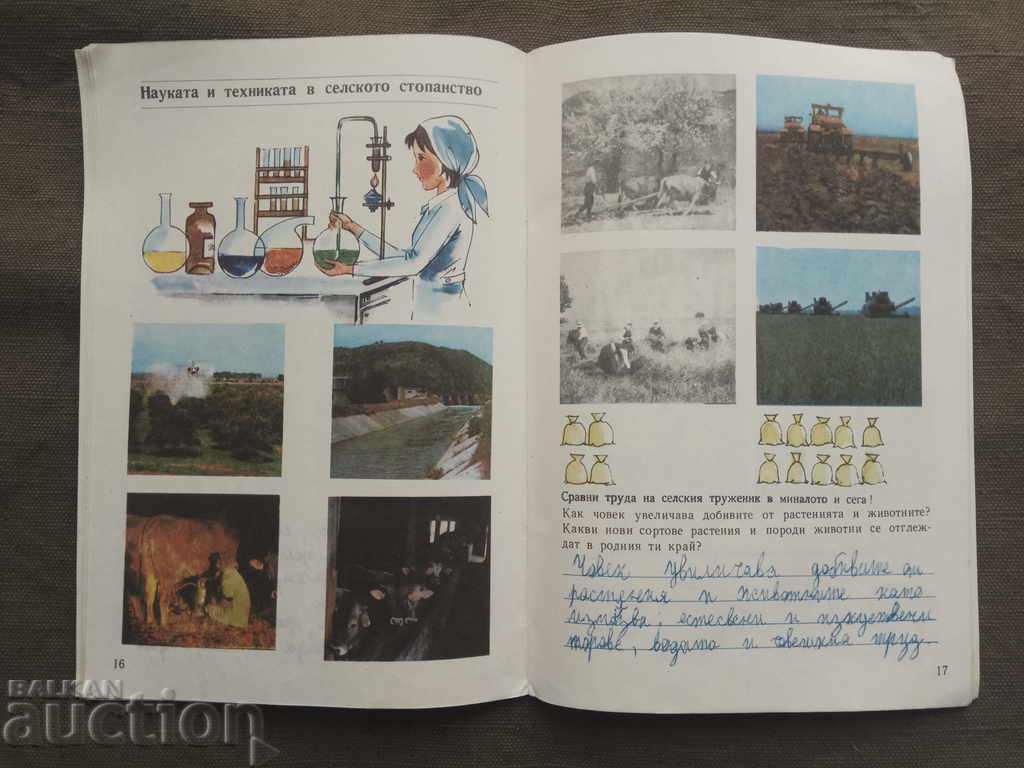 Auction  Homeland. Notebook for 3 class