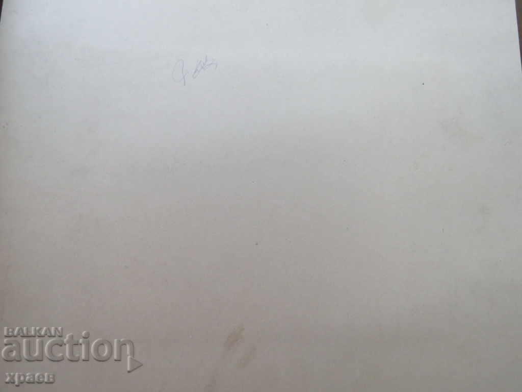 Licitație FOTOGRAFIE VECHE - CARTON - MARE 173 Licitație FOTOGRAFIE VECHE - CARTON - MARE 173