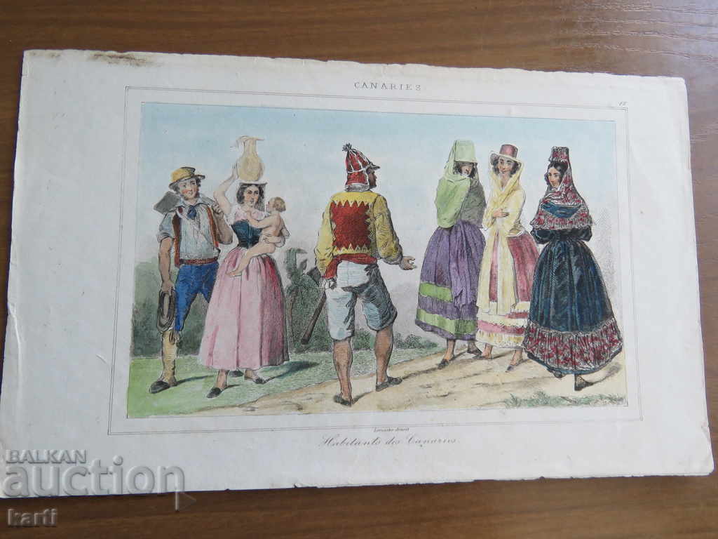 OLD ENGRAVER - 19th CENTURY - CANARI - COLORED with price € 14.99 | 29.32 BGN