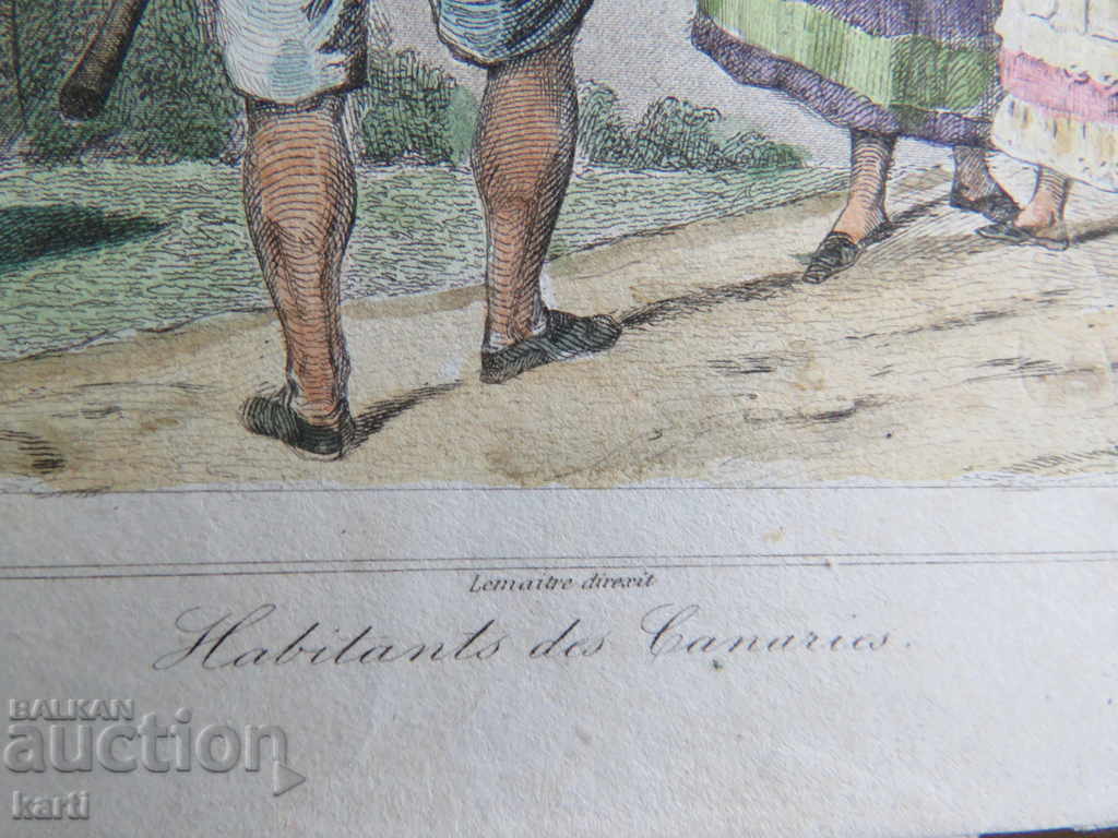 Auction  OLD ENGRAVER - 19th CENTURY - CANARI - COLORED