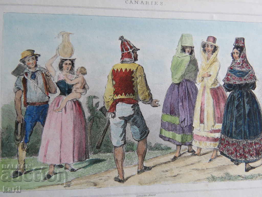 OLD ENGRAVER - 19th CENTURY - CANARI - COLORED