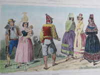 СТАРА ГРАВЮРА - 19 ВЕК - КАНАРИТЕ - ЦВЕТНА