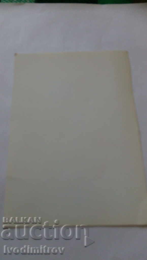 Photo by Michelle Pfeiffer with an autograph printed with price 1.35 BGN | € 0.69 Photo by Michelle Pfeiffer with an autograph printed with price 1.35 BGN | € 0.69