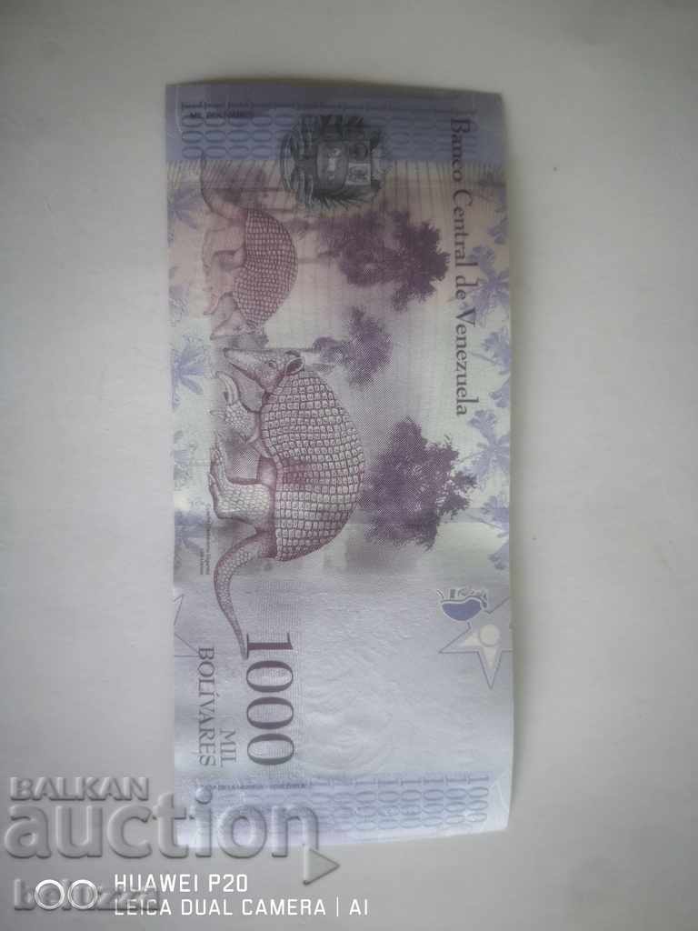 1000 bolivari venezueleni 1000 bolivari venezueleni