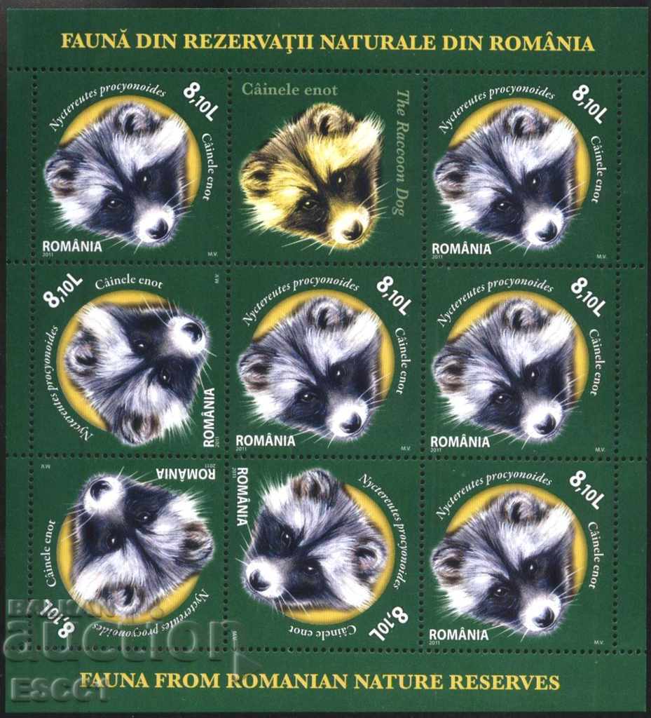 Marcă goală în frunze mici Fauna Raccoon 2011 din România