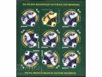 Чиста марка в малък лист Фауна Енот 2011 от Румъния