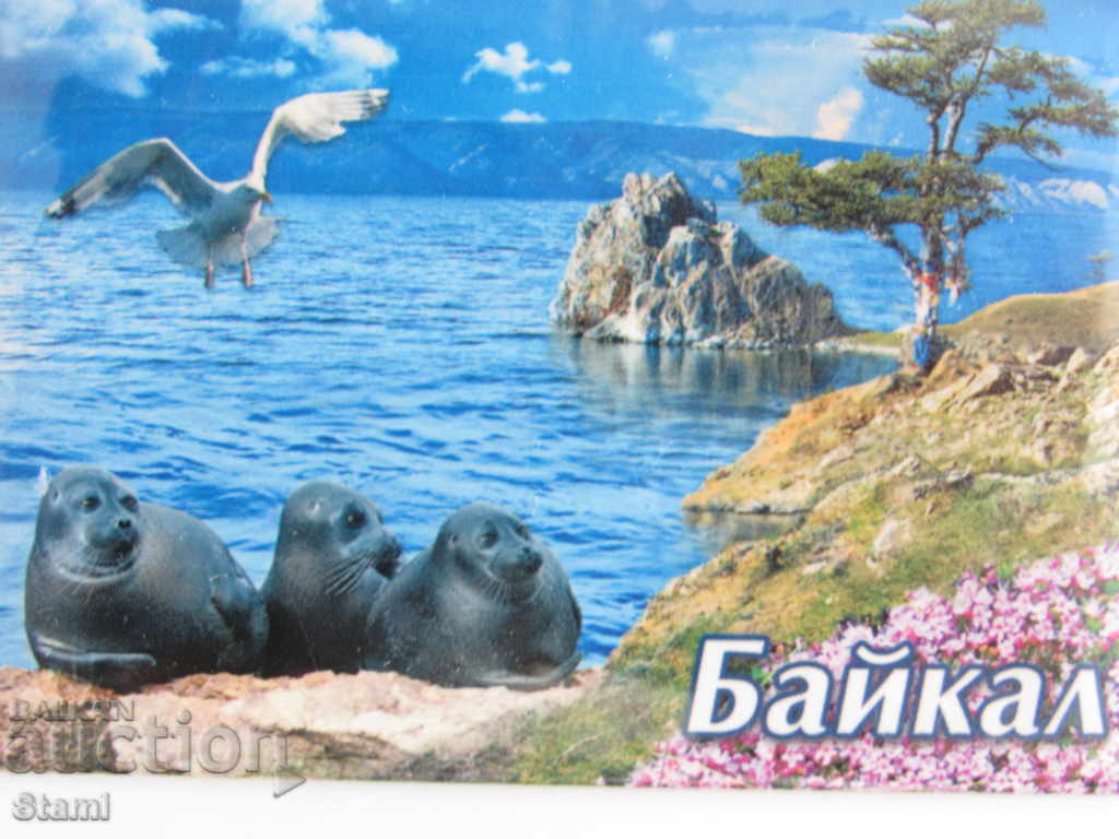 An authentic magnet from Lake Baikal, Russia-Series-45 with price 7.50 BGN | € 3.83 An authentic magnet from Lake Baikal, Russia-Series-45 with price 7.50 BGN | € 3.83