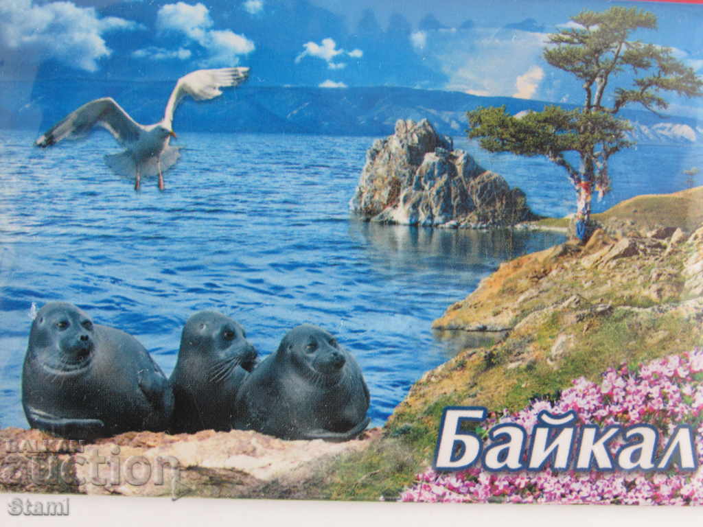 Автентичен магнит от езерото Байкал, Русия-серия-45