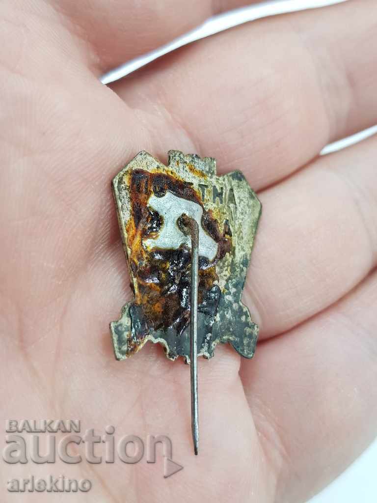 Delivery of Beautiful Bulgarian Communist. advertising honorary badge Varna Delivery of Beautiful Bulgarian Communist. advertising honorary badge Varna