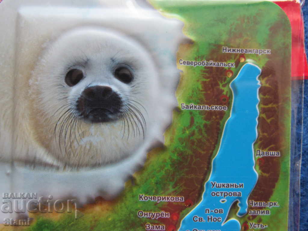 Auction Authentic 3D magnet from Lake Baikal, Russia-Series-35 Auction Authentic 3D magnet from Lake Baikal, Russia-Series-35