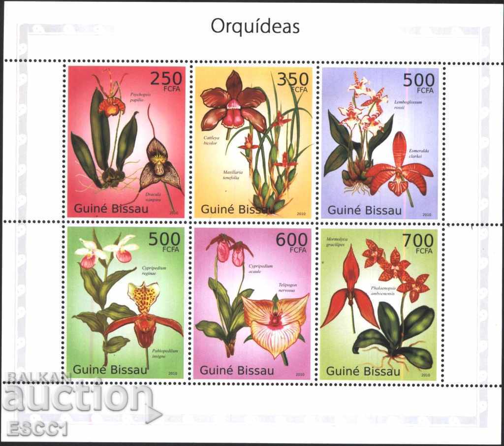 Чисти марки в малък лист  Цветя Орхидеи  2010 Гвинея Бисау