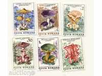 Pure Brands Mushrooms 1986 Romania