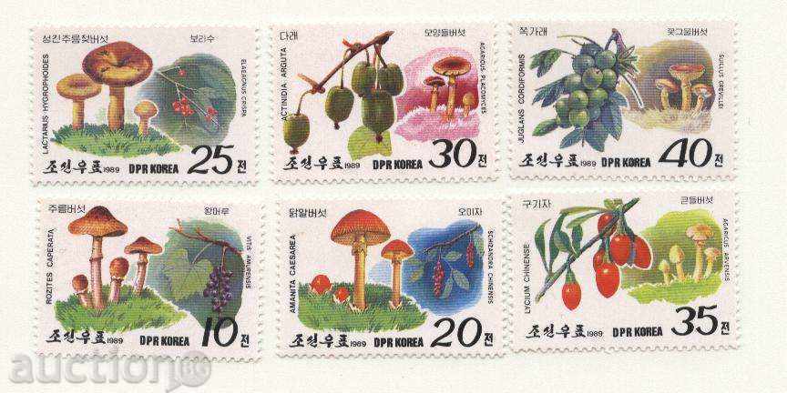 Чисти марки  Флора Гъби  1989 от Северна Корея