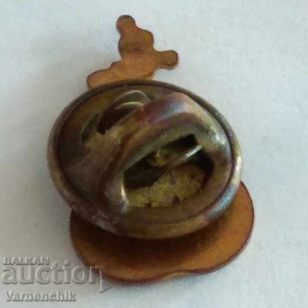 Delivery of Badge of the American Olympic Wrestling Team OLYMPIC Delivery of Badge of the American Olympic Wrestling Team OLYMPIC