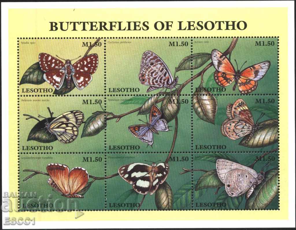 Semne pure într-o frunză mică Faună Insecte Fluturi 1997 Lesoto