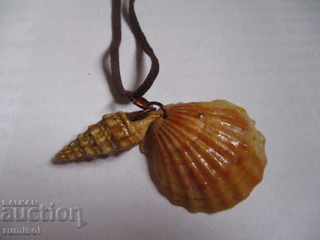 A necklace with a seashell and a rapanche with a leather chain with price 0.29 BGN | € 0.15 A necklace with a seashell and a rapanche with a leather chain with price 0.29 BGN | € 0.15