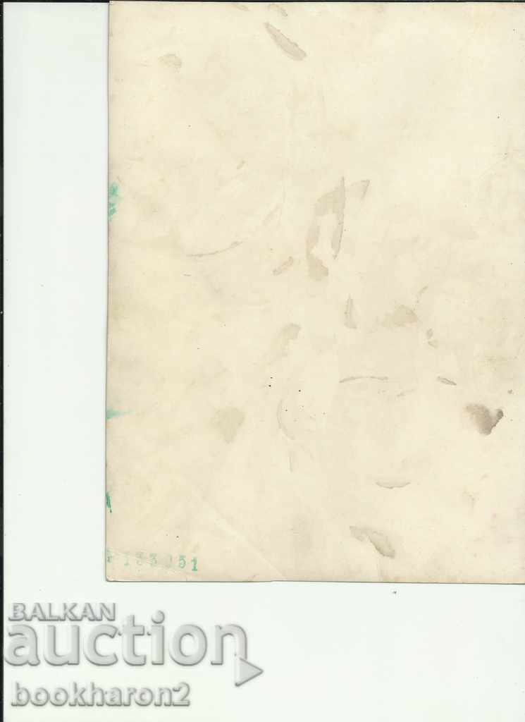 Sr. S. Large Format Austria? with price € 7.50 | 14.67 BGN Sr. S. Large Format Austria? with price € 7.50 | 14.67 BGN