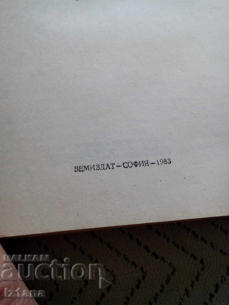 Auction Book Tips for Women Auction Book Tips for Women