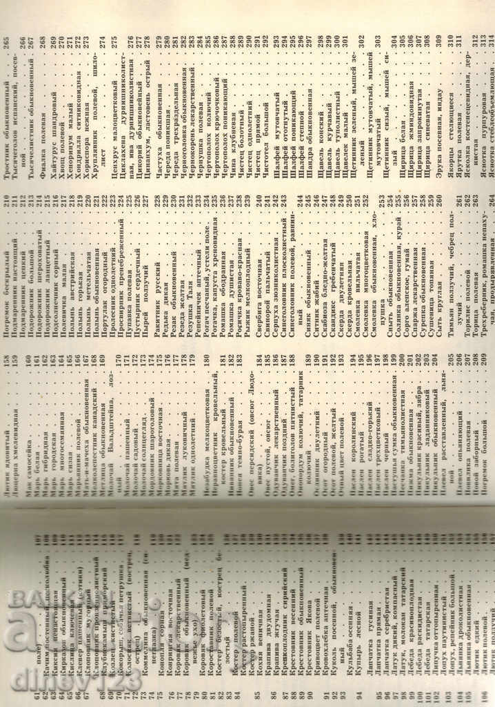 ΦΥΤΑ Ζιζανίων - A. FISYUNOV / IN RUSSIAN / - 5 ΦΥΤΑ Ζιζανίων - A. FISYUNOV / IN RUSSIAN / - 5