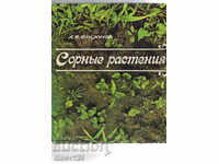 WEED PLANTS - A. FISYUNOV / IN RUSSIAN /