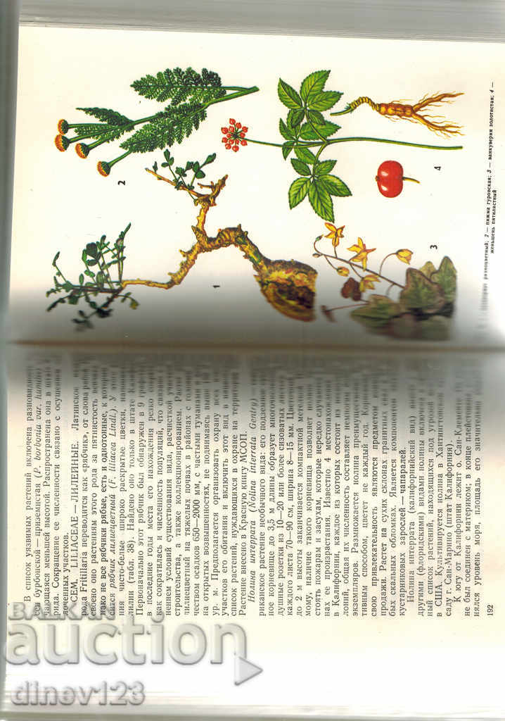 Delivery of RARE PLANTS WORLDWIDE / IN RUSSIAN /