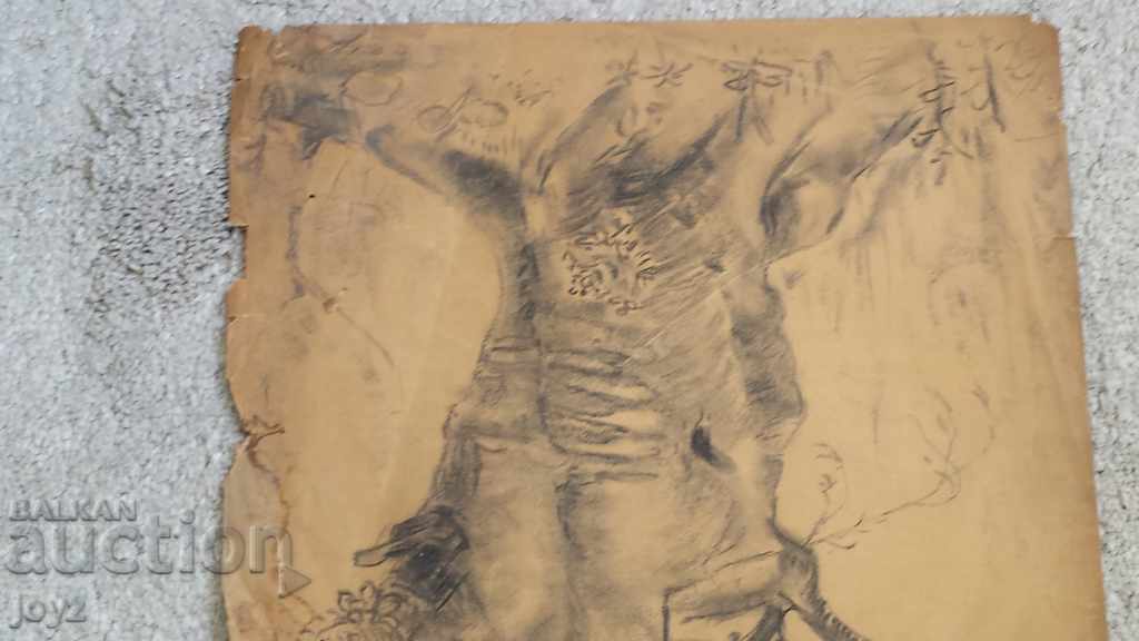 Auction OLD GRAPHIC DRAWING ON A TREE Auction OLD GRAPHIC DRAWING ON A TREE