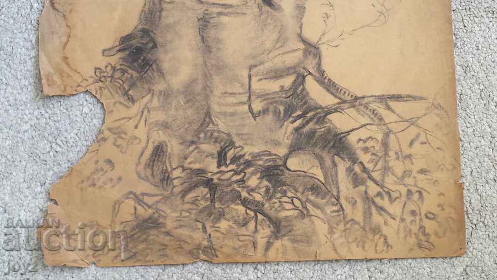 Delivery of OLD GRAPHIC DRAWING ON A TREE Delivery of OLD GRAPHIC DRAWING ON A TREE