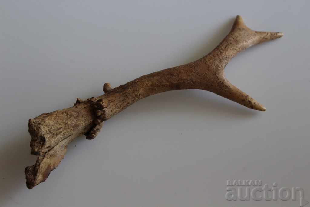 OLD HORN TROPHY DECORATION HUNTING HUNTING with price 15.00 BGN | € 7.67