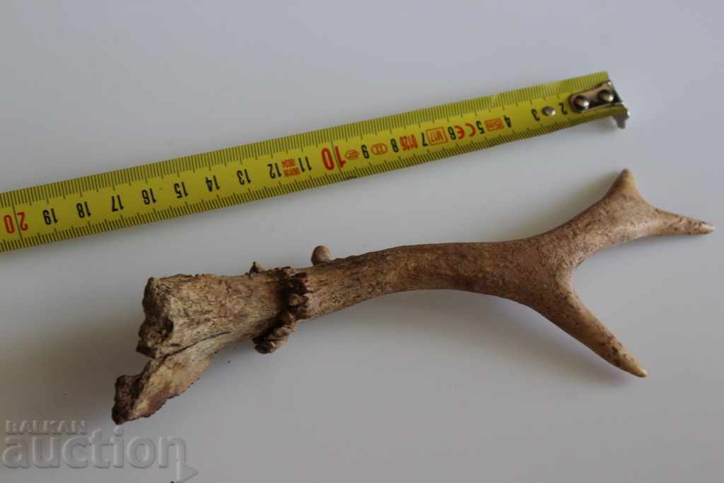 Auction  OLD HORN TROPHY DECORATION HUNTING HUNTING